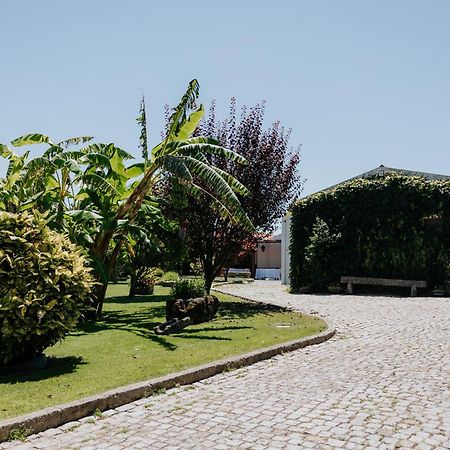 Casa Dos Meus Avos -Villas - Gaia & Porto Вила-Нова-ди-Гая Экстерьер фото